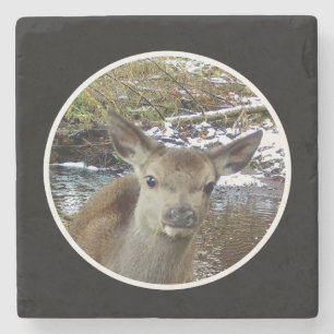 Süßes Baby Reh Kitz Anbetungswürdige Wald Natur Po Steinuntersetzer