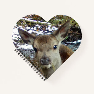 Süßes Babyhirsch Wald Reh Schreibjournal Notizblock
