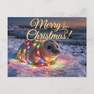 Süßes Babyrobbenbaby umwickelt mit Weihnachtslicht Postkarte