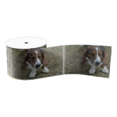 Süßes Basset Hound Ripsband (Spule)