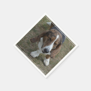 Süßes Basset Hound Serviette