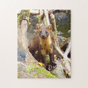 Süßes Baummarder auf einem Baumstamm Wald-Wildtier Puzzle