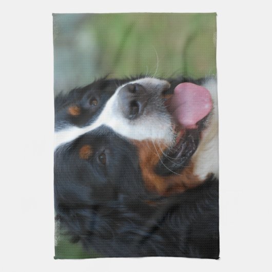 Süßes Bernese Geschirrtuch (Vertikal)