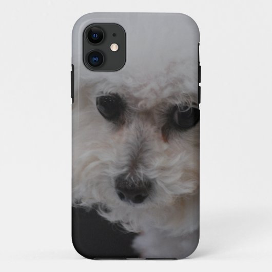 Süßes Bichon Frise Case-Mate iPhone Hülle (Rückseite)