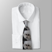 Süßes Bichon Frise Krawatte (Gebunden)