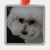 Süßes Bichon Frise Silbernes Ornament (Vorne)