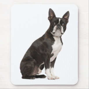Süßes Boston-Terrier-Geschenk Welpe Hundeliebhaber Mousepad