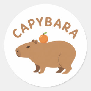 Süßes Capybara mit Orange auf dem Kopf Minimalist  Runder Aufkleber