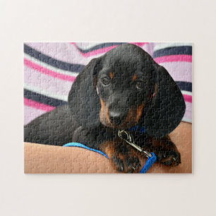 Süßes Dachshund-Welpen-Foto Puzzle