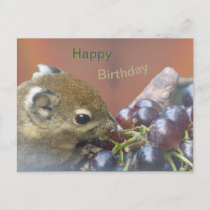 Süßes Eichhörnchen Alles Gute zum Geburtstag Postk Postkarte
