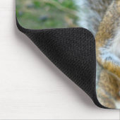 Süßes Eichhörnchen-Gesicht Mousepad (Ecke)