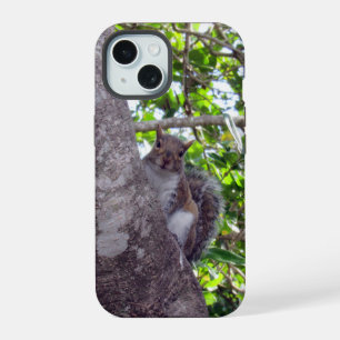 Süßes Eichhörnchen - iPhone / iPad Hülle iPhone 15 Hülle