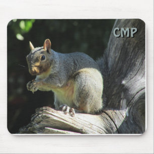 Süßes Eichhörnchen mit Ihren Initialen Mousepad