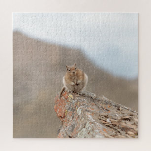 Süßes Eichhörnchen-Rätsel Puzzle