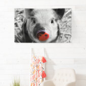 Süßes Ferkel Banner (Insitu)