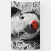 Süßes Ferkel Banner (Vertikal)