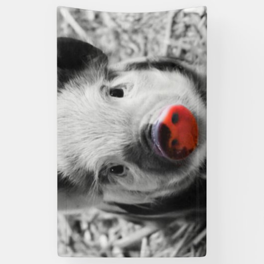 Süßes Ferkel Banner (Vertikal)