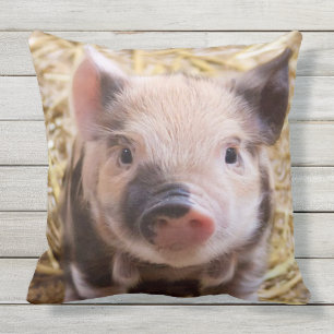 Süßes Ferkel Kissen