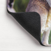 Süßes flauschiges Känguru-Jungtier Mousepad (Ecke)