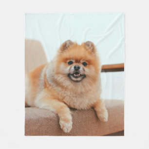 Süßes, flauschiges Pomeranian-Welpenporträt – Lieb Fleecedecke