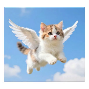 Süßes fliegendes Kätzchen Dreifarbiges Tigerchen B Fotodruck