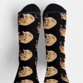 Süßes Foto einer roten Katze Socken (Oben)