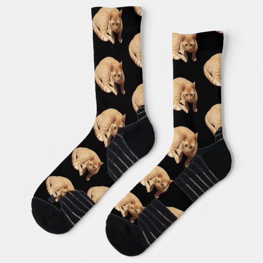 Süßes Foto einer roten Katze Socken (Links)
