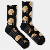 Süßes Foto einer roten Katze Socken (Rechts)