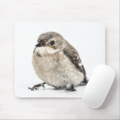 Süßes Foto eines kleinen Gartenvogels Mousepad (Mit Mouse)