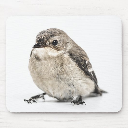 Süßes Foto eines kleinen Gartenvogels Mousepad (Vorne)