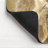 Süßes Foto von einem Paar Erdmännchen Mousepad (Ecke)