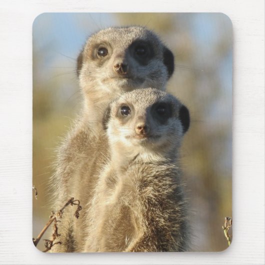 Süßes Foto von einem Paar Erdmännchen Mousepad (Vorne)
