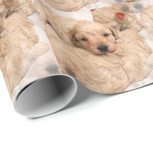 Süßes golden retriever geschenkpapier (Rolleneckpunkt)