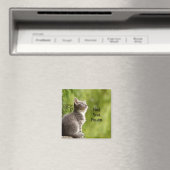 Süßes graues Kätzchen Magnet (In Situ (Geschirrspüler))