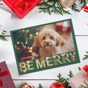 Süßes Hunde-Foto Weihnachten sei fröhlich Haustier