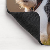 Süßes Jack-Russel-Terrier-Hund-Foto Mousepad (Ecke)