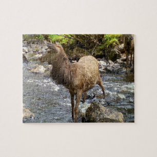 Süßes Junges Reh an einem Fluss Szene Wald Wildtie Puzzle