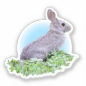 Süßes Kaninchen Aufkleber (Vorderseite)