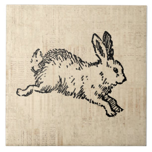 Süßes Kaninchen-Hasen-Vintage-Illustrationsschrift Fliese