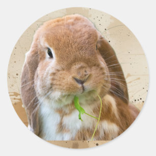 Süßes Kaninchen-Haustier Runder Aufkleber