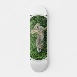Süßes Kaninchen Skateboard
