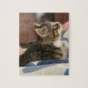 Süßes Kätzchen   Belassen Sie dieses Bild oder füg Puzzle