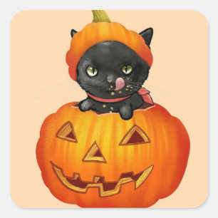 Süßes Kätzchen in Kürbis Halloween Quadratischer Aufkleber