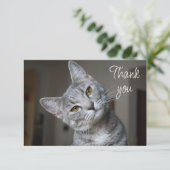 Süßes Kätzchen Katze Danke (Stehend Vorderseite)