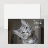 Süßes Kätzchen Katze Danke (Vorne/Hinten)