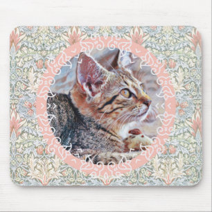 Süßes Kätzchen Katzen Kunst Vintage-Stil Mauspad