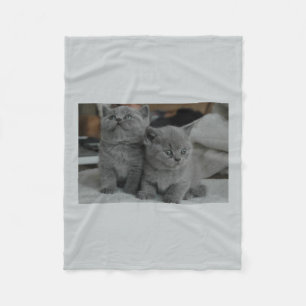 Süßes Kätzchen Katzen Tier Grau Fleecedecke