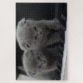 Süßes Kätzchen Puzzle (Vertikal)