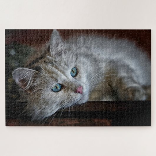Süßes Kätzchen Puzzle (Horizontal)