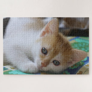 Süßes Kätzchen Puzzle